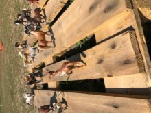 IMG_0630 IMG_0630
